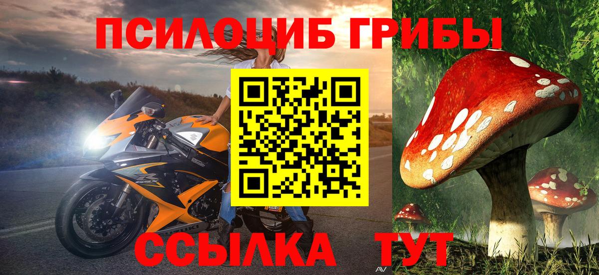 Псилоцибиновые грибы мухоморы  Вход с VPN  Мирный  Псилоцибиновые грибы мицелий 